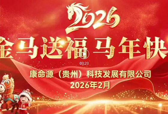 乘势而上启新程 聚力笃行向未来丨PG娱乐
公司给大家拜年了！
